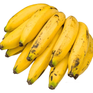 Banano Criollo x Lb