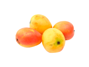 Mango de Azucar x Lb